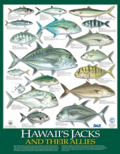 Posters of Hawaii's jacks and their allies