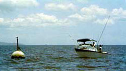 Fishermen at a FAD constructed at AFRC or Snug Harbor.