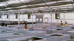 Photo of interior of the thermocontrolled facility.