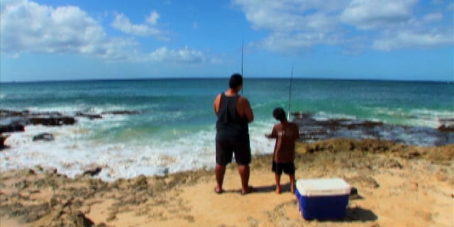 no fish