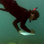 diver with slate