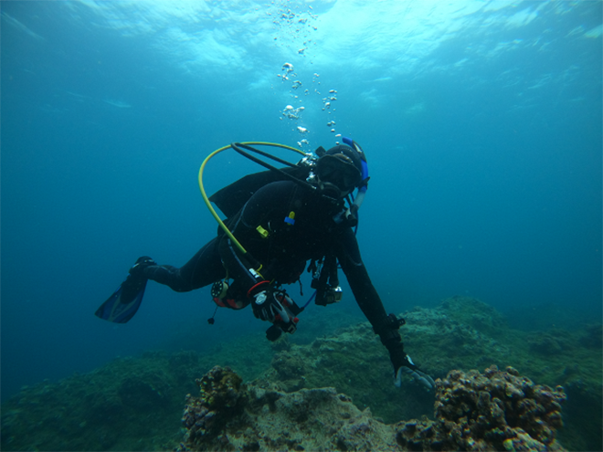 diver over reef