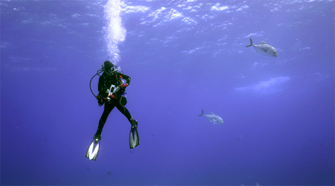 diver and jacks