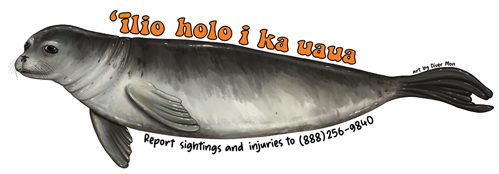 monk seal sticker